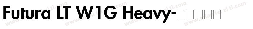 Futura LT W1G Heavy字体转换